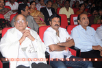 Filename=Pvc_Audio_135.jpg
Filesize=152KiB
Dimensions=800x531
Date added=Apr 04, 2014 Pvc_Audio_135.jpg