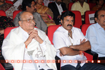 Filename=Pvc_Audio_136.jpg
Filesize=150KiB
Dimensions=800x531
Date added=Apr 04, 2014 Pvc_Audio_136.jpg