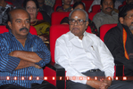 Filename=Pvc_Audio_226.jpg
Filesize=145KiB
Dimensions=800x537
Date added=Apr 04, 2014 Pvc_Audio_226.jpg