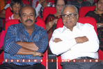 Filename=Pvc_Audio_228.jpg
Filesize=165KiB
Dimensions=800x537
Date added=Apr 04, 2014 Pvc_Audio_228.jpg