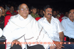 Filename=Pvc_Audio_276.jpg
Filesize=124KiB
Dimensions=800x537
Date added=Apr 04, 2014 Pvc_Audio_276.jpg