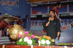 Filename=RV_Audio_203.jpg
Filesize=212KiB
Dimensions=1000x666
Date added=Apr 03, 2014 RV_Audio_203.jpg