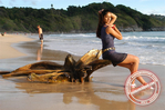 Filename=028.jpg
Filesize=93KiB
Dimensions=677x450
Date added=Apr 03, 2014 028.jpg