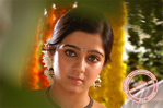 Filename=070.jpg
Filesize=65KiB
Dimensions=677x450
Date added=Apr 03, 2014 070.jpg