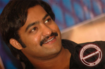 Filename=rh05.jpg
Filesize=57KiB
Dimensions=677x450
Date added=Apr 03, 2014 rh05.jpg