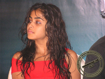 ntr027.jpg