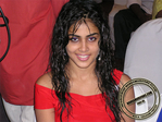 ntr035.jpg