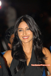 Filename=Santosham_2008_050.jpg
Filesize=136KiB
Dimensions=600x894
Date added=Apr 04, 2014 Santosham_2008_050.jpg