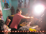 Filename=Simha_175_Jamm_076.jpg
Filesize=116KiB
Dimensions=800x600
Date added=Apr 04, 2014 Simha_175_Jamm_076.jpg