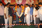 Simha_200days_046.jpg