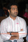 Filename=Simha_50Days_026.jpg
Filesize=229KiB
Dimensions=800x1204
Date added=Apr 04, 2014 Simha_50Days_026.jpg