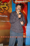 Simha_50Days_043.jpg