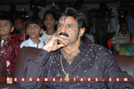 Simha_50Days_079.jpg