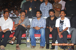 Filename=Simha_Audio_Success_237.jpg
Filesize=143KiB
Dimensions=800x535
Date added=Apr 04, 2014 Simha_Audio_Success_237.jpg