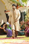 Filename=Simha-043.jpg
Filesize=397KiB
Dimensions=800x1203
Date added=Apr 04, 2014 Simha-043.jpg
