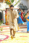 Filename=Simha-045.jpg
Filesize=368KiB
Dimensions=800x1203
Date added=Apr 04, 2014 Simha-045.jpg