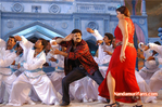 Filename=Simha-047.jpg
Filesize=205KiB
Dimensions=800x532
Date added=Apr 04, 2014 Simha-047.jpg