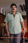 Filename=Simha-095.jpg
Filesize=304KiB
Dimensions=800x1203
Date added=Apr 04, 2014 Simha-095.jpg