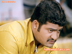 Filename=simhadri0090.jpg
Filesize=95KiB
Dimensions=677x508
Date added=Apr 03, 2014 simhadri0090.jpg