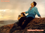 Filename=simhadri0092.jpg
Filesize=90KiB
Dimensions=677x508
Date added=Apr 03, 2014 simhadri0092.jpg