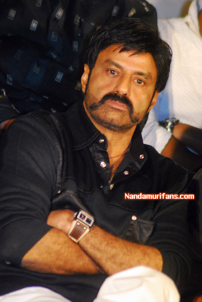Maa-Cricket-PM-011.jpg