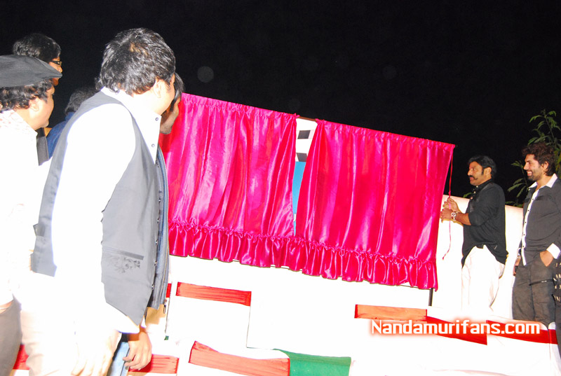 Maa-Cricket-PM-094.jpg