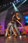 Filename=Starnight-C-059.jpg
Filesize=209KiB
Dimensions=700x1055
Date added=Apr 03, 2014 Starnight-C-059.jpg