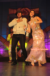 Filename=Starnight-C-076.jpg
Filesize=193KiB
Dimensions=700x1055
Date added=Apr 03, 2014 Starnight-C-076.jpg