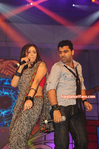 Filename=Starnight-C-119.jpg
Filesize=219KiB
Dimensions=700x1055
Date added=Apr 03, 2014 Starnight-C-119.jpg