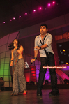 Filename=Starnight-C-123.jpg
Filesize=182KiB
Dimensions=700x1055
Date added=Apr 03, 2014 Starnight-C-123.jpg