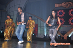 Filename=Starnight-C-150.jpg
Filesize=129KiB
Dimensions=800x531
Date added=Apr 03, 2014 Starnight-C-150.jpg