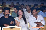 Filename=Starnight-C-155.jpg
Filesize=128KiB
Dimensions=800x531
Date added=Apr 03, 2014 Starnight-C-155.jpg