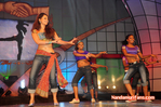 Filename=Starnight-C-175.jpg
Filesize=139KiB
Dimensions=800x531
Date added=Apr 03, 2014 Starnight-C-175.jpg