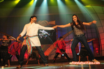 Filename=Starnight-C-182.jpg
Filesize=124KiB
Dimensions=800x531
Date added=Apr 03, 2014 Starnight-C-182.jpg