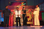 Filename=Starnight-C-226.jpg
Filesize=147KiB
Dimensions=800x531
Date added=Apr 03, 2014 Starnight-C-226.jpg