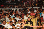 Filename=Starnight-C-364.jpg
Filesize=175KiB
Dimensions=800x531
Date added=Apr 03, 2014 Starnight-C-364.jpg
