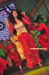 Filename=Starnight-D-004.jpg
Filesize=247KiB
Dimensions=700x1054
Date added=Apr 03, 2014 Starnight-D-004.jpg