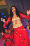 Filename=Starnight-D-005.jpg
Filesize=207KiB
Dimensions=700x1054
Date added=Apr 03, 2014 Starnight-D-005.jpg