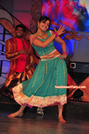 Filename=Starnight-D-045.jpg
Filesize=239KiB
Dimensions=700x1054
Date added=Apr 03, 2014 Starnight-D-045.jpg