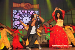 Filename=Starnight-D-074.jpg
Filesize=161KiB
Dimensions=800x531
Date added=Apr 03, 2014 Starnight-D-074.jpg