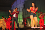 Filename=Starnight-D-078.jpg
Filesize=124KiB
Dimensions=800x531
Date added=Apr 03, 2014 Starnight-D-078.jpg