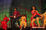 Filename=Starnight-D-080.jpg
Filesize=116KiB
Dimensions=800x531
Date added=Apr 03, 2014 Starnight-D-080.jpg