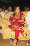 Filename=Starnight-A-004.jpg
Filesize=262KiB
Dimensions=700x1053
Date added=Apr 03, 2014 Starnight-A-004.jpg
