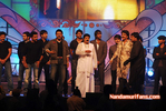Filename=Starnight-A-036.jpg
Filesize=145KiB
Dimensions=800x537
Date added=Apr 03, 2014 Starnight-A-036.jpg