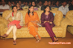 Filename=Starnight-A-110.jpg
Filesize=207KiB
Dimensions=800x532
Date added=Apr 03, 2014 Starnight-A-110.jpg