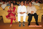 Filename=Starnight-A-113.jpg
Filesize=202KiB
Dimensions=800x532
Date added=Apr 03, 2014 Starnight-A-113.jpg
