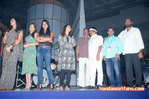 Filename=Starnight-A-131.jpg
Filesize=184KiB
Dimensions=800x532
Date added=Apr 03, 2014 Starnight-A-131.jpg