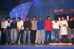 Filename=Starnight-A-148.jpg
Filesize=167KiB
Dimensions=800x532
Date added=Apr 03, 2014 Starnight-A-148.jpg