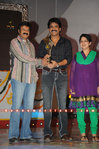 Filename=Superhit_Awards_012.jpg
Filesize=195KiB
Dimensions=800x1201
Date added=Apr 03, 2014 Superhit_Awards_012.jpg