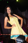 Filename=T20_Dress_023.jpg
Filesize=137KiB
Dimensions=800x1204
Date added=Apr 03, 2014 T20_Dress_023.jpg